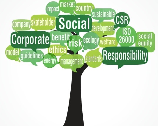 what does esr stand for in business sustainability